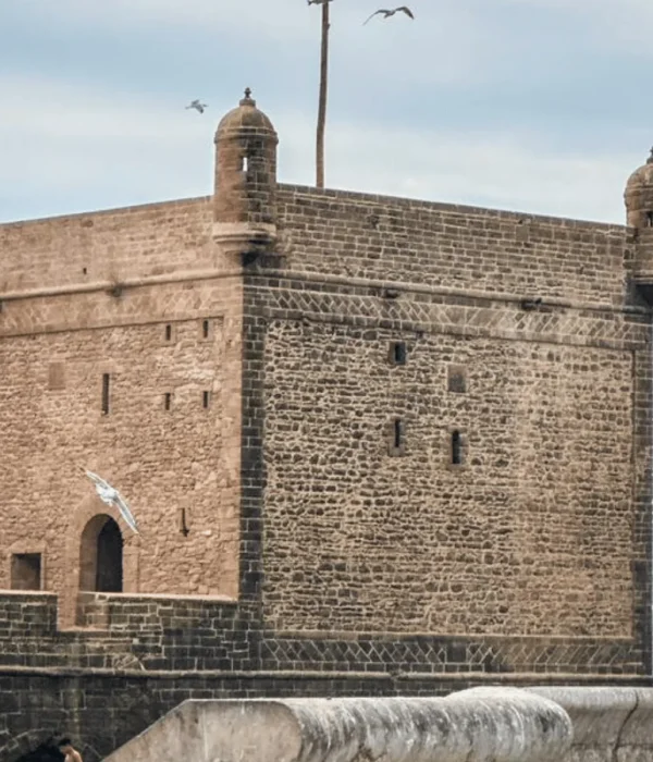 Day Trip Essaouira From Marrakech