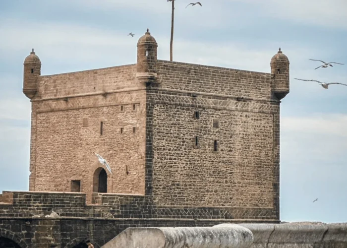Day Trip Essaouira From Marrakech