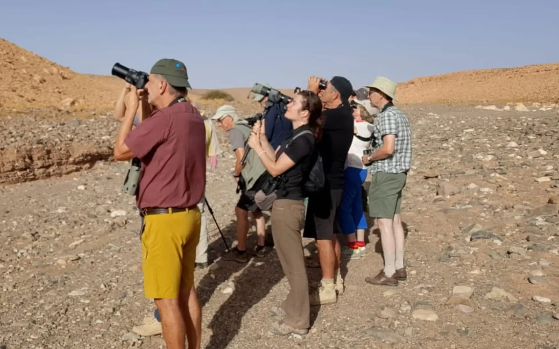 Best Places in Morocco for Bird Photography Best Places in Morocco for Bird Photography