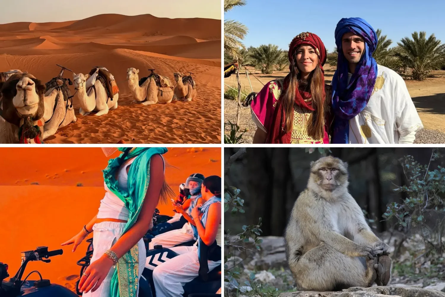 Marrakech to Fes Desert Tour