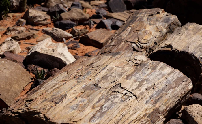 4 Days Fossils Tour from Marrakech